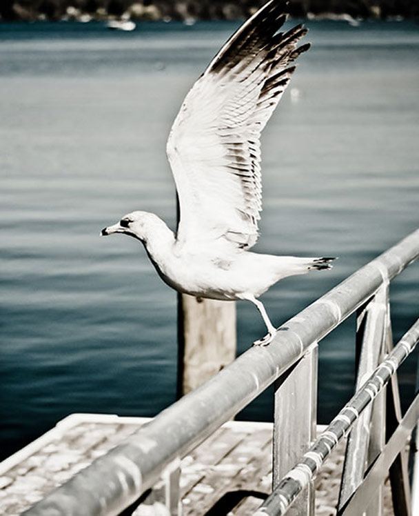 故障诊断的短信压力测试器免费网页版